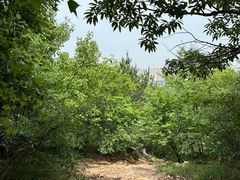 -虞山风景区