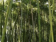 -苏州河梦清园环保主题公园