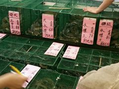 水产区-荔城生鲜盛宴(番禺旗舰店)