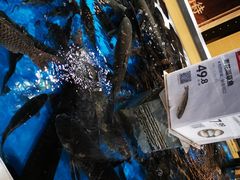 -盒马鲜生(枣园路店)