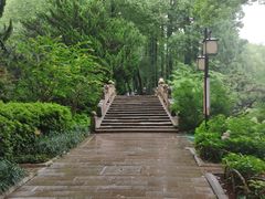 -上海醉白池公园