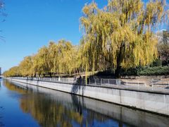 -元大都城垣遗址公园