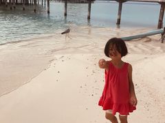 -中央格兰德岛温泉度假酒店 - 全包