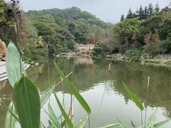 -云溪植物园