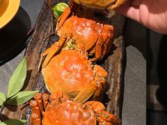 -上井料理黑金店(IFS国金中心店)