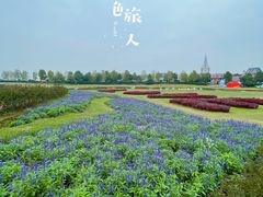 -花博汇(知音花月夜)