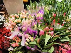 -双季花艺园艺市场(浦东店)