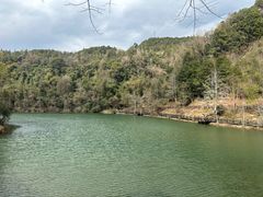 -江西阳明山国家森林公园