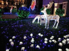 -东港音乐喷泉广场