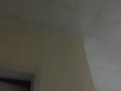 -五缘湾凯悦酒店·悦饗中餐厅