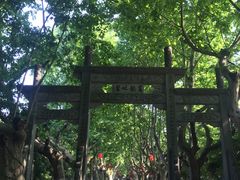 -杭州黄龙洞