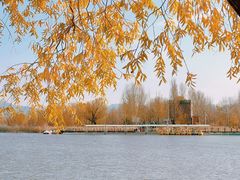 -野鸭湖国家湿地公园