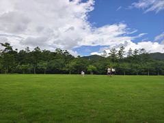 -桃源春晓中餐厅 TaoYuan Restaurant