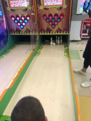 -莫莉幻想儿童乐园(武汉金银潭永旺店)