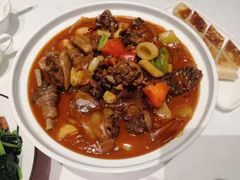 熬炒鸡-阿五黄河大鲤鱼(海尚店)