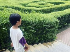 -大屏嶂森林公园