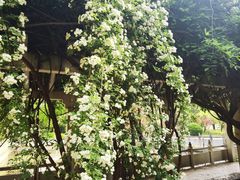 -河南省黄河迎宾馆