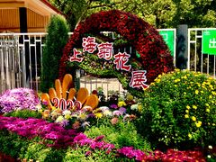 -上海共青森林公园