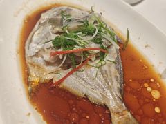 -渔人码头(中南店)