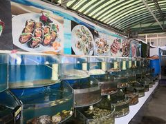 -东戴河风景区-止锚湾