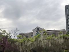 -嘉定紫藤园