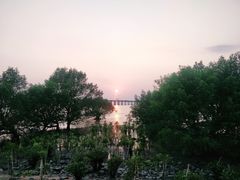 -宝安西湾红树林湿地公园