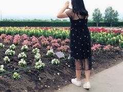 -金城大酒店-中餐厅(汾江中路店)