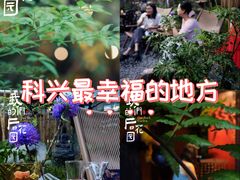 -科兴科学园