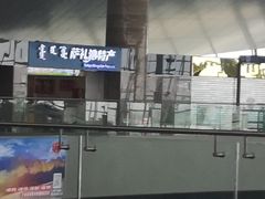 -麦当劳(鄂尔多斯机场店)