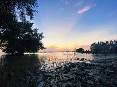 -宝安西湾红树林湿地公园