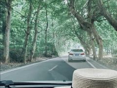 -老号尤兔头(幸福店)