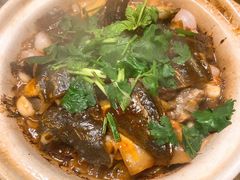 啫啫甲鱼煲-金龙·打边炉(武进路店)