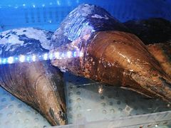 -阿伟海鲜楼·福建菜(延寿店)