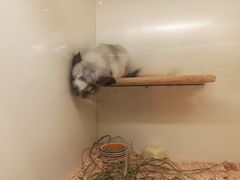 -龙猫仔乐园(惠福东路店)