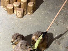 -正佳雨林生态植物园