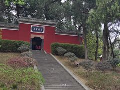 -子昂故里文化旅游区