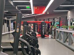 -金吉鸟健身游泳