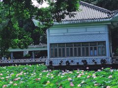-荔湾湖公园