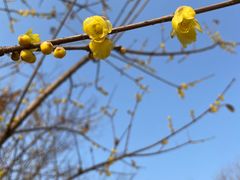-梁鸿国家湿地公园