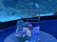 -海合安青岛极地海洋公园