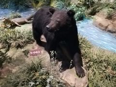 -陕西自然博物馆