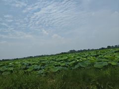 -老杨砂锅鱼庄