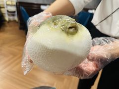 -肆月河豚·新淮扬(金融街店)