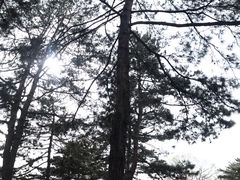 景点-承德避暑山庄景区