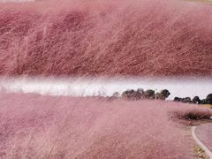-苏州湾体育公园