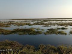 -鄱阳湖国家湿地公园