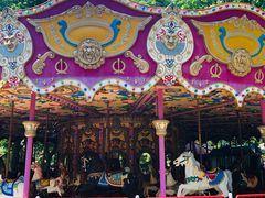 -上海共青森林公园