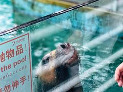 -大连老虎滩海洋公园