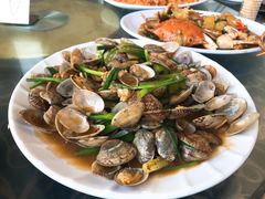 -七鲜渔港美食餐厅(巽寮湾海景店)