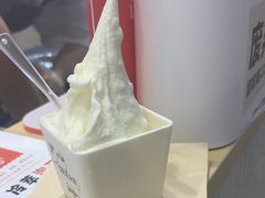 -野人先生现做冰淇淋(西安赛格店)